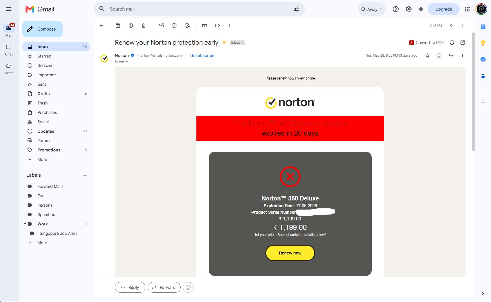 Norton renewal email in Gmail desktop — showing ₹1,199 crossed out and ₹1,199 again below in the pricing card