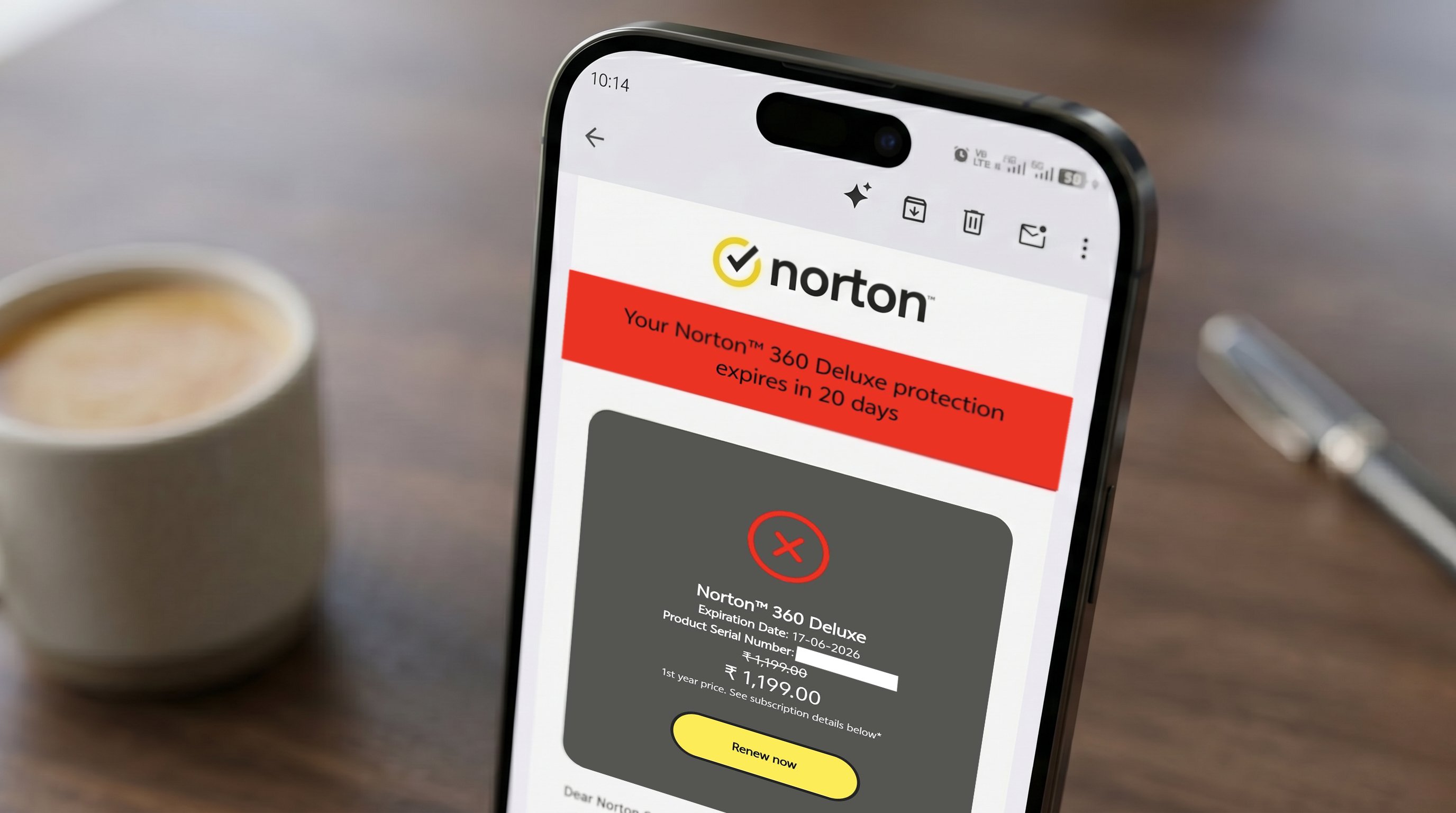 Norton 360 Deluxe renewal email on iPhone — Your Norton 360 Deluxe protection expires in 20 days, with ₹1,199 crossed out and ₹1,199 again below it
